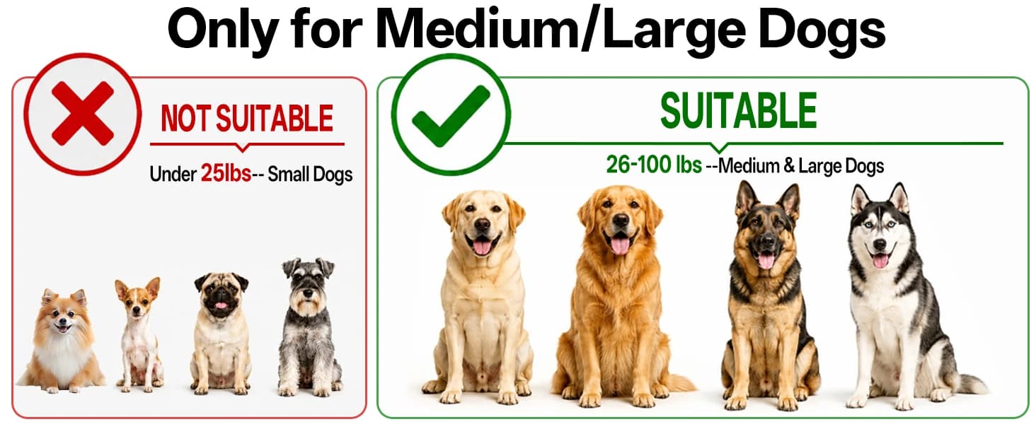 Hands Free Double Dog Leash for Two Dogs 240LB Heavy Duty Bungee — product details