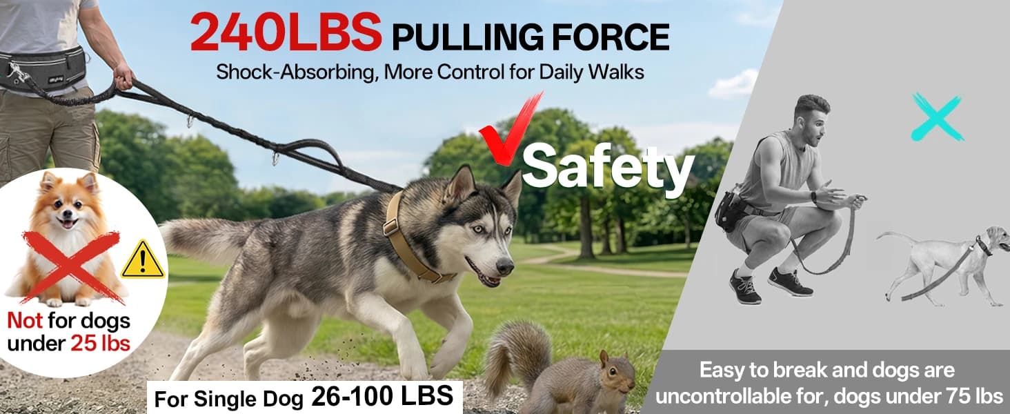 Hands Free Double Dog Leash for Two Dogs 240LB Heavy Duty Bungee — product details