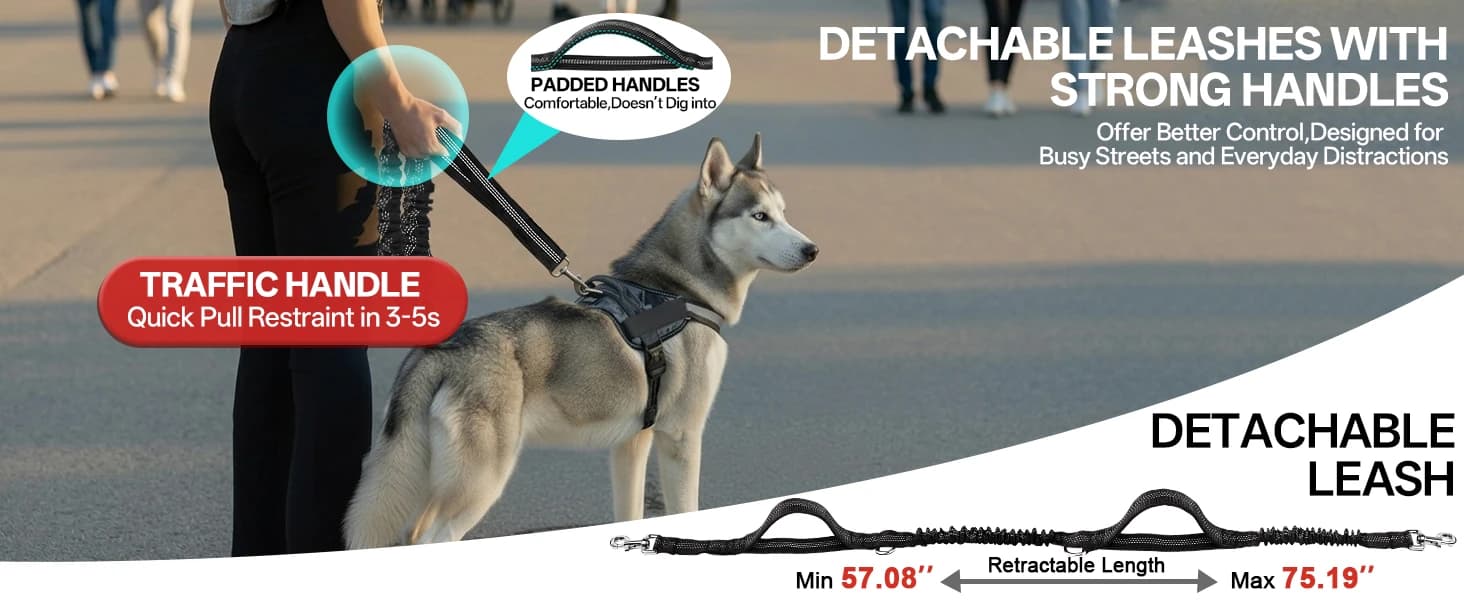 Hands Free Double Dog Leash for Two Dogs 240LB Heavy Duty Bungee — product details