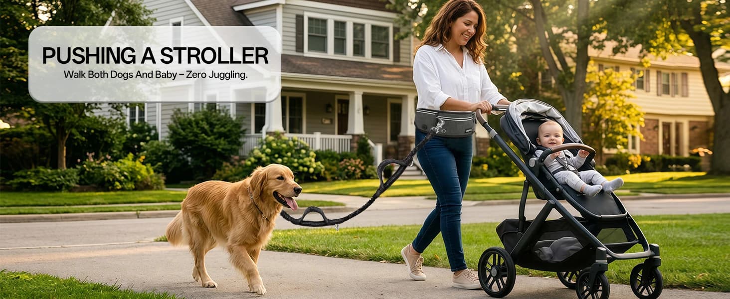 Hands Free Double Dog Leash for Two Dogs 240LB Heavy Duty Bungee — product details
