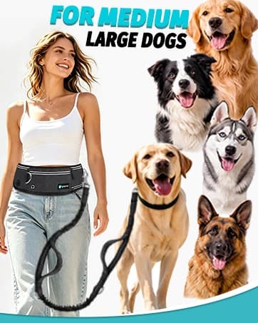 Hands Free Double Dog Leash for Two Dogs 240LB Heavy Duty Bungee — collection imagery