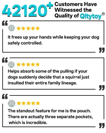 Hands Free Double Dog Leash for Two Dogs 240LB Heavy Duty Bungee — collection imagery
