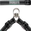 Leash Coupler — Two Dog Leash Splitter to Split Leashes for Walking 2 Dogs