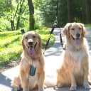 Leash Coupler — Two Dog Leash Splitter to Split Leashes for Walking 2 Dogs