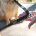 Leash Coupler — Two Dog Leash Splitter to Split Leashes for Walking 2 Dogs