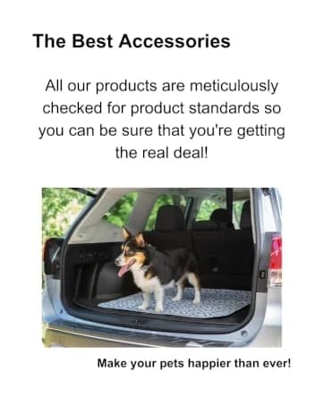 Leash Coupler — Two Dog Leash Splitter to Split Leashes for Walking 2 Dogs — collection imagery