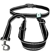 Leash Coupler — Two Dog Leash Splitter to Split Leashes for Walking 2 Dogs — collection imagery