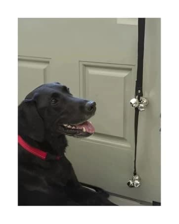 Leash Coupler — Two Dog Leash Splitter to Split Leashes for Walking 2 Dogs — collection imagery