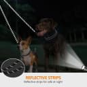 Double Dog Leash Coupler for Two Dogs — 1/3" Lightweight Dual Leash Extension for Small and Medium Dogs