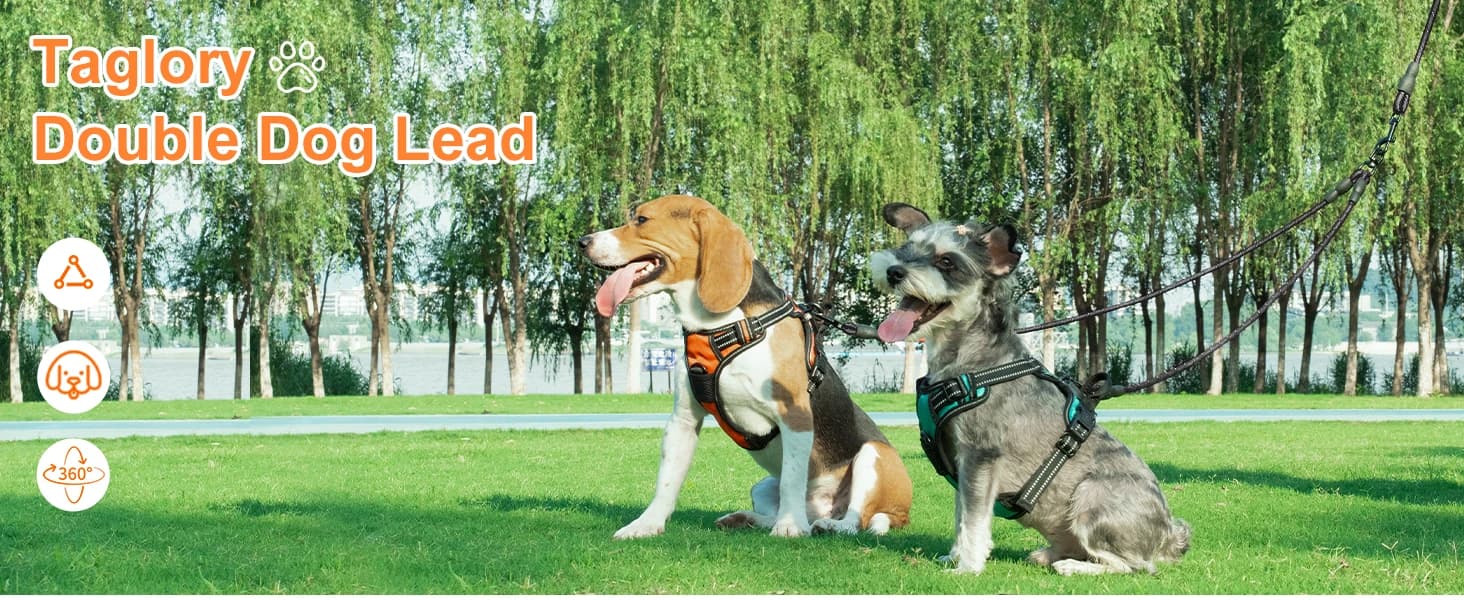 Double Dog Leash Coupler for Two Dogs — 1/3" Lightweight Dual Leash Extension for Small and Medium Dogs — product details