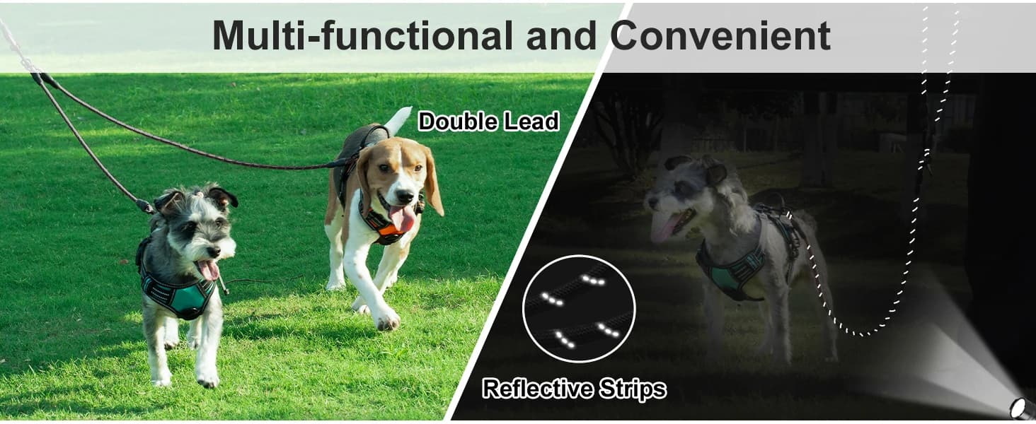 Double Dog Leash Coupler for Two Dogs — 1/3" Lightweight Dual Leash Extension for Small and Medium Dogs — product details