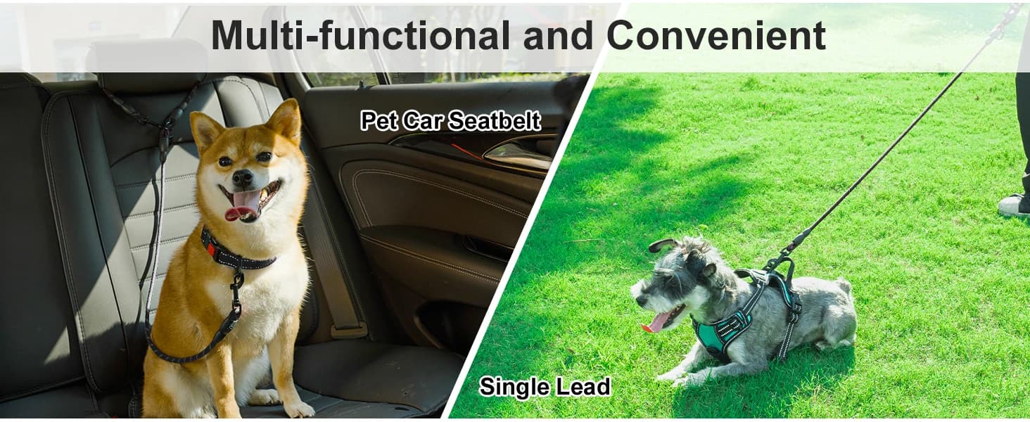 Double Dog Leash Coupler for Two Dogs — 1/3" Lightweight Dual Leash Extension for Small and Medium Dogs — product details