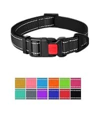 Double Dog Leash Coupler for Two Dogs — 1/3" Lightweight Dual Leash Extension for Small and Medium Dogs — collection imagery