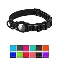 Double Dog Leash Coupler for Two Dogs — 1/3" Lightweight Dual Leash Extension for Small and Medium Dogs — collection imagery