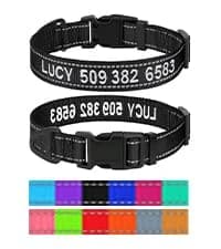 Double Dog Leash Coupler for Two Dogs — 1/3" Lightweight Dual Leash Extension for Small and Medium Dogs — collection imagery
