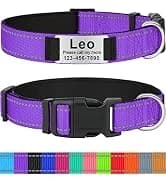 Double Dog Leash Coupler for Two Dogs — 1/3" Lightweight Dual Leash Extension for Small and Medium Dogs — collection imagery