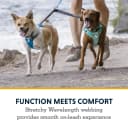 Double Track Coupler — Double Leash for Two Dogs