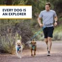 Double Track Coupler — Double Leash for Two Dogs
