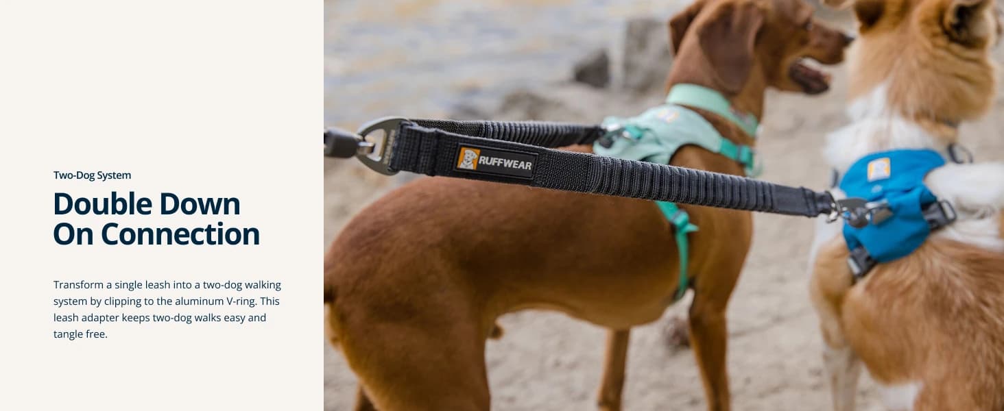 Double Track Coupler — Double Leash for Two Dogs — product details