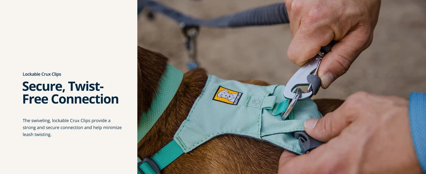 Double Track Coupler — Double Leash for Two Dogs — product details