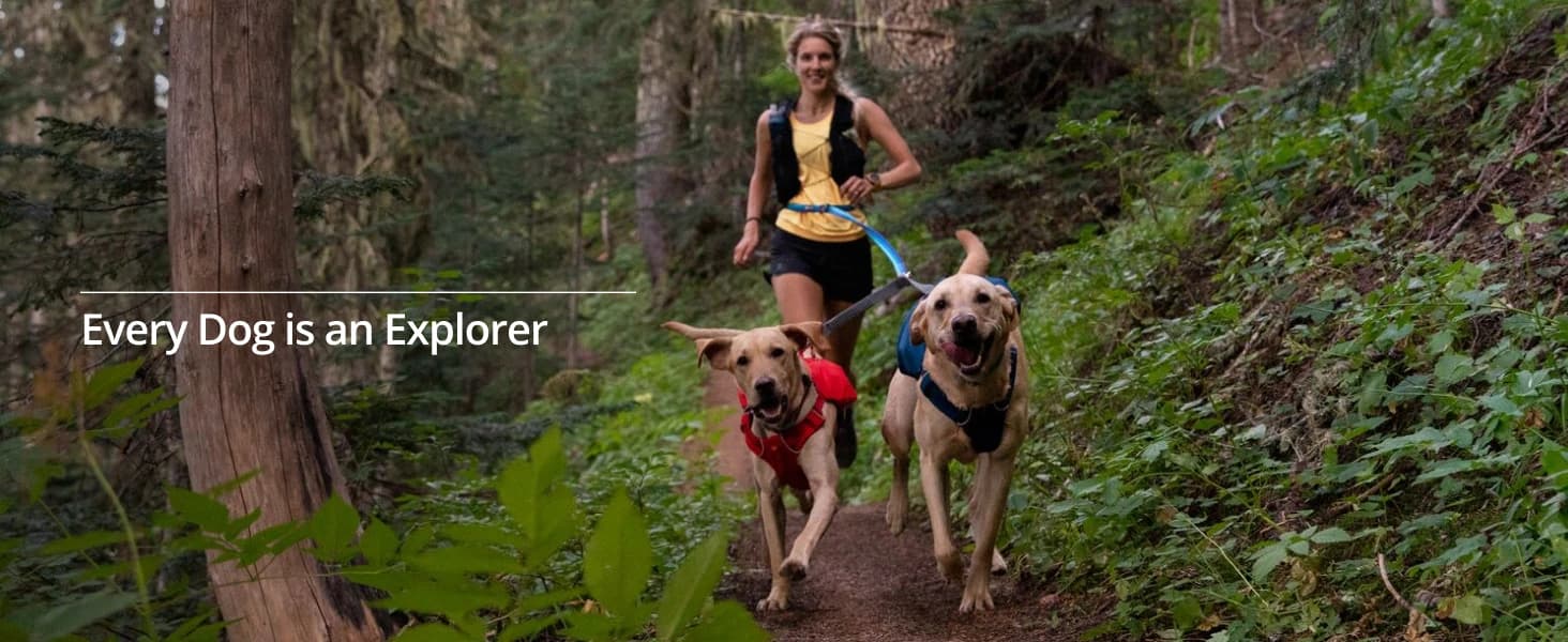 Double Track Coupler — Double Leash for Two Dogs — product details