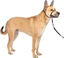 Gentle Leader No Pull Dog Headcollar