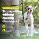 Gentle Leader No Pull Dog Headcollar