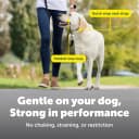 Gentle Leader No Pull Dog Headcollar