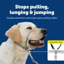 Gentle Leader No Pull Dog Headcollar