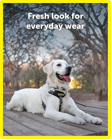 Gentle Leader No Pull Dog Headcollar — collection imagery
