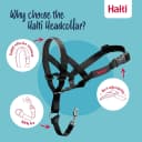 Headcollar | Size 2 — Black | Training Collar for Medium Dogs