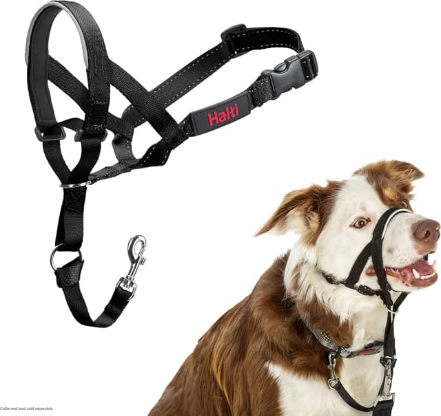 Headcollar | Size 2 — Black | Training Collar for Medium Dogs
