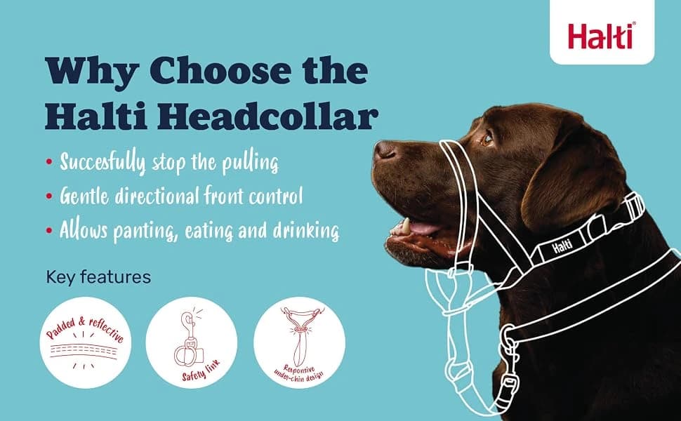 Headcollar | Size 2 — Black | Training Collar for Medium Dogs — product details