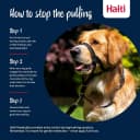 Headcollar | Size 2 — Black | Training Collar for Medium Dogs