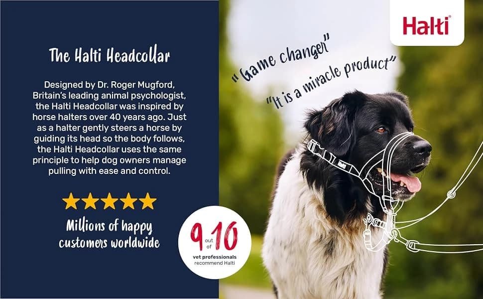 Headcollar | Size 2 — Black | Training Collar for Medium Dogs — product details