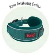 Headcollar | Size 2 — Black | Training Collar for Medium Dogs — collection imagery