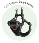 Headcollar | Size 2 — Black | Training Collar for Medium Dogs — collection imagery