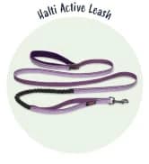 Headcollar | Size 2 — Black | Training Collar for Medium Dogs — collection imagery