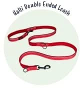 Headcollar | Size 2 — Black | Training Collar for Medium Dogs — collection imagery