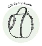 Headcollar | Size 2 — Black | Training Collar for Medium Dogs — collection imagery