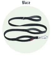 Headcollar | Size 2 — Black | Training Collar for Medium Dogs — collection imagery