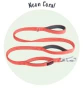 Headcollar | Size 2 — Black | Training Collar for Medium Dogs — collection imagery
