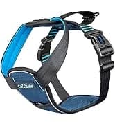Headcollar | Size 2 — Black | Training Collar for Medium Dogs — collection imagery