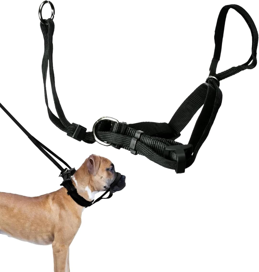 Head Halter for Dogs — No Pull Dog Harness