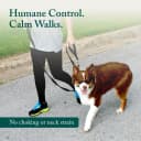 Head Halter for Dogs — No Pull Dog Harness