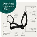 Head Halter for Dogs — No Pull Dog Harness