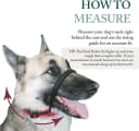 Head Halter for Dogs — No Pull Dog Harness