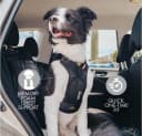 Drive Dog Car Harness — Crash Tested and Certified