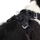 Drive Dog Car Harness — Crash Tested and Certified