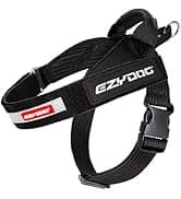 Drive Dog Car Harness — Crash Tested and Certified — collection imagery